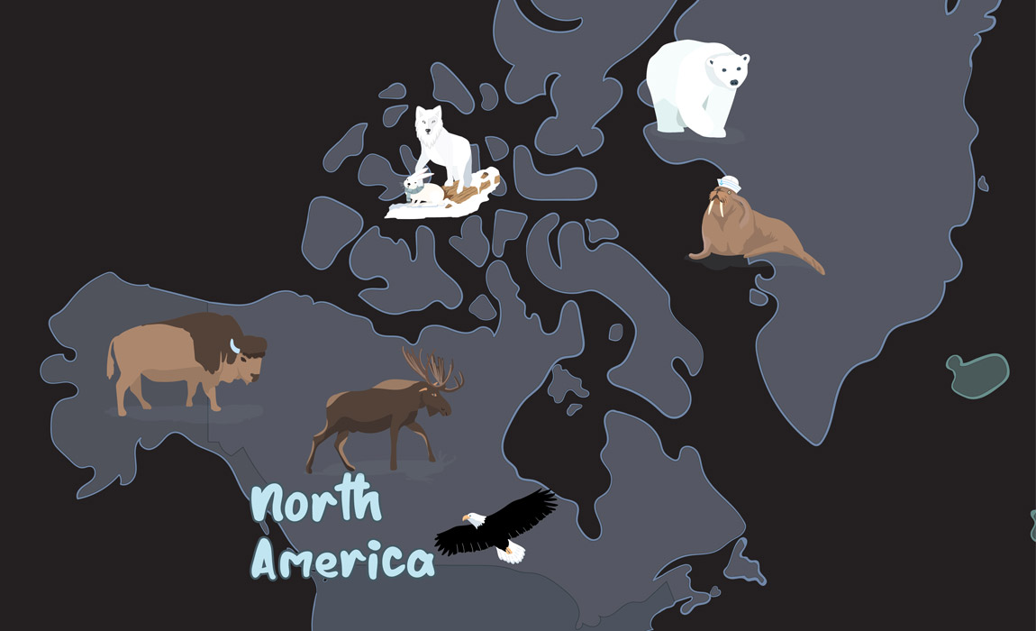 World Map North American Animals